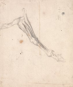 Hester forbenet- muligens en studie for LAmour de Cheval, datert 1827, i Tate Gallery av James Ward